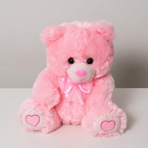Pink Teddy Bear Medium