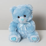 Blue Teddy Bear Small