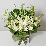 Elegant White Orchid Box