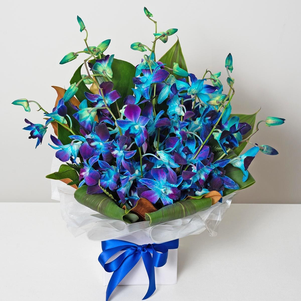 Long Lasting Blue Orchid Box